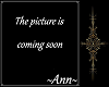 Ann Photoroom 3
