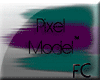 Pixel Model