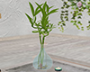 LC| Bambu Aqua Vase