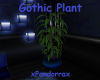 Gothic Plant