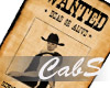 Rock & Cab Wanted Poster