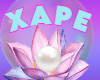 XAPE Pin Up V2