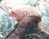 IA Art Cutout 664