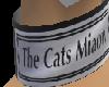! The Cats Miaw F
