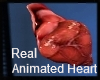 Real Animate Heart M/F