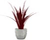 Vase w/Red Plant