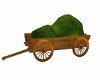 Wagon of grass