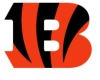 NFL Logo - Cinci Bengals
