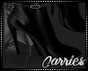 C Dark Booties