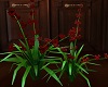 Red 3d Flowers