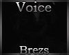 Alarak Voice - RE
