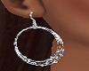 Silver Hoop Earrings *