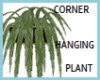 Corner Hanging Plant
