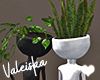 VK~Black/White Plant