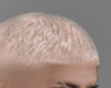 Real Fade Blonde