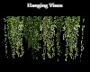 Hanging Vines