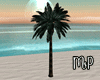 Tropical Palm Gina