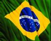 BRASIL T-SHIRTS