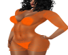 Orange Sheer Dress