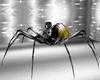 yellow spider avi M
