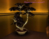 CC*Golden/Brown Plant