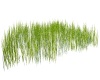 Flowing Tall Grass