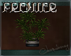 Premier's ~ Planter Solo