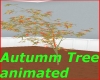 Autumn tree animated