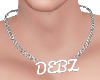 Debz Necklace Slver