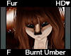 Burnt Umber Fur F