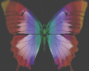 Flutterbyes
