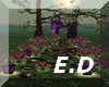 [E.D]ENCHANTED PATH