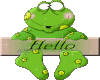 Froggy Hello