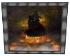 [KC]Halloween Cat Pic