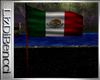Viva Mexico Flags