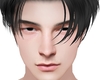 Stefan Head