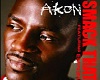 Akon Smack That