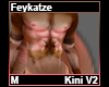 Feykatze Kini M V2