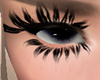 Doll Lashes-