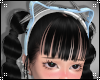 Kitty Ears V5