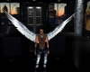 Angel Wings, Unisex, 