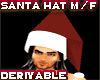 (PM)A Santa Hat M/f