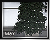 May♥Christmas Tree