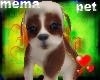 *mema* Cute  puppy