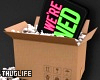 Box & Neon Sign