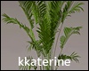 [kk] Plant  2