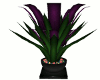 iA: Technicolor Plant