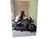 T, Motorbike 12