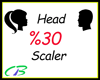3~ Head Scale %30