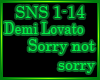 Demi - Sorry not sorry